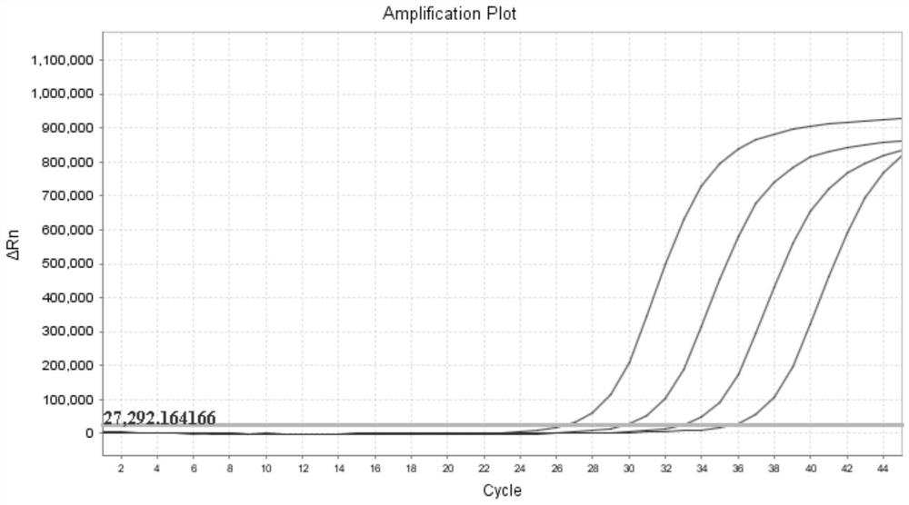 Hepatitis B virus enrichment fluorescent PCR (polymerase chain reaction) detection method