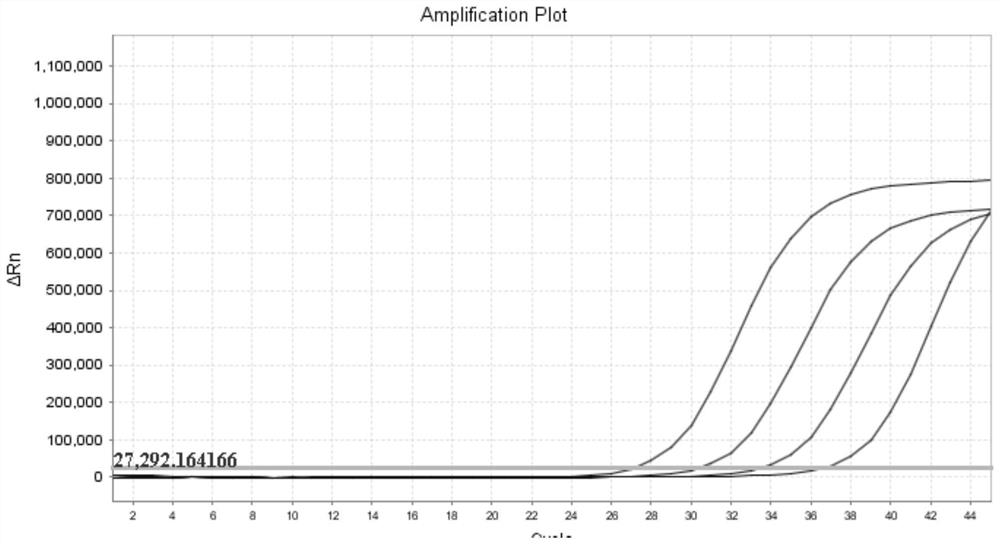 Hepatitis B virus enrichment fluorescent PCR (polymerase chain reaction) detection method