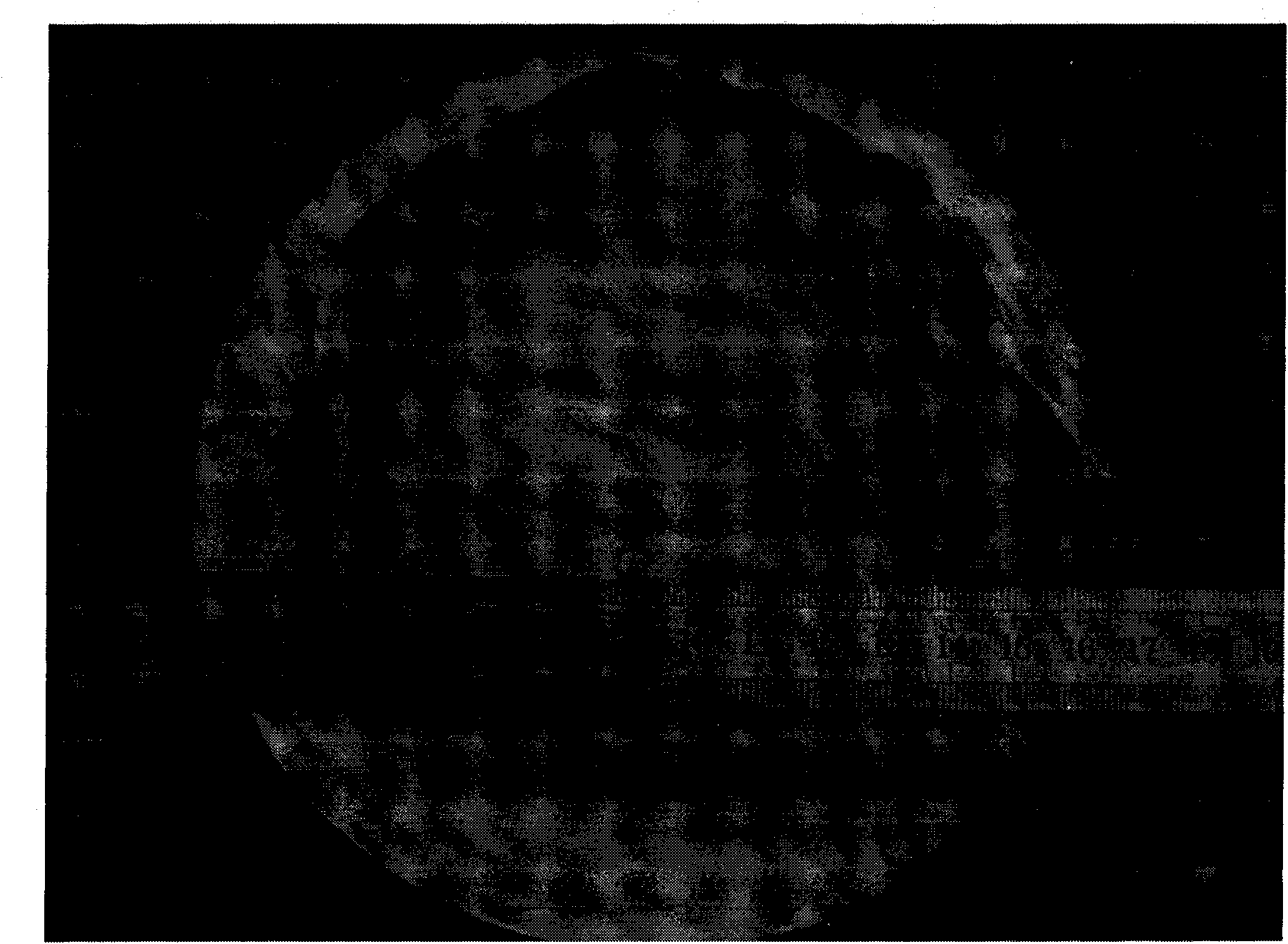 Method for increasing yield of SiC nano fiber by applying boric acid