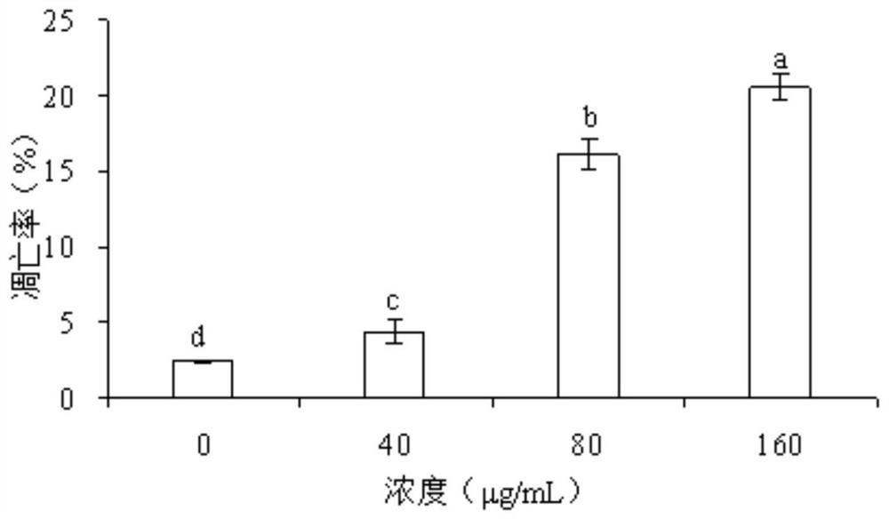 Application of physalis pubescens persistent calyx extract