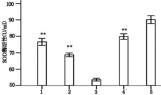 Human fat mesenchymal stem cell extract and lyophilized powder and application thereof