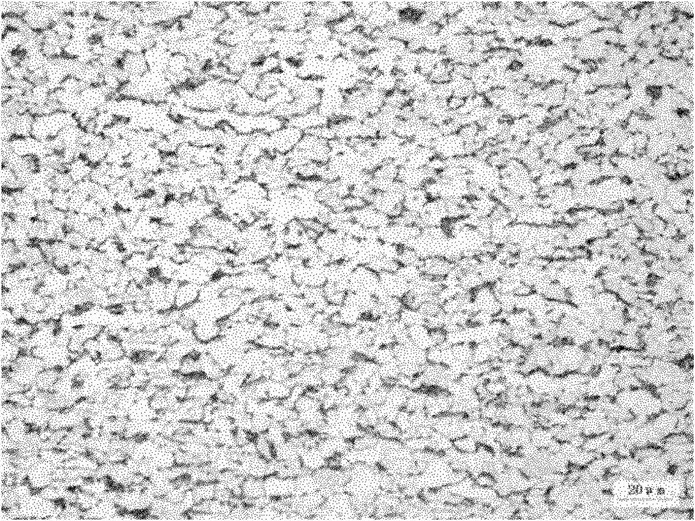 Method for producing hot rolled steel coils