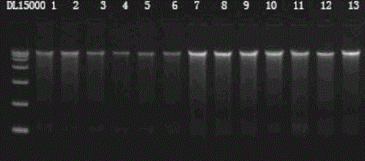 Method for evaluating water quality by using microbial diversity indicators in water sediments