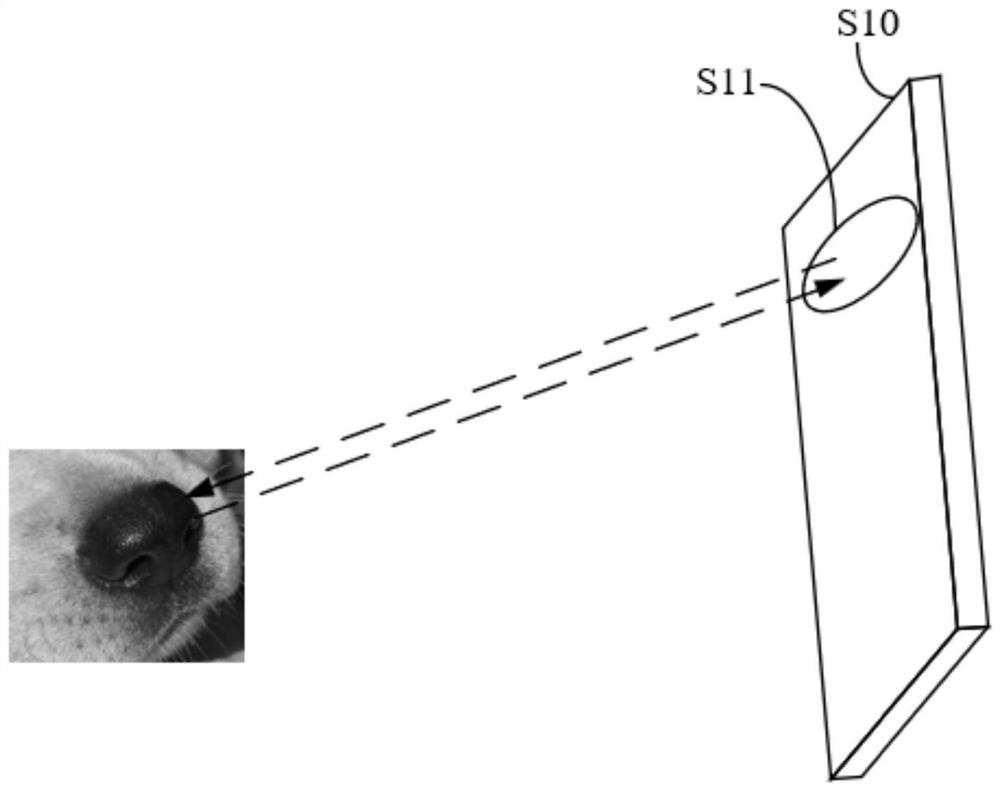 Health prediction method and device, electronic equipment and storage medium