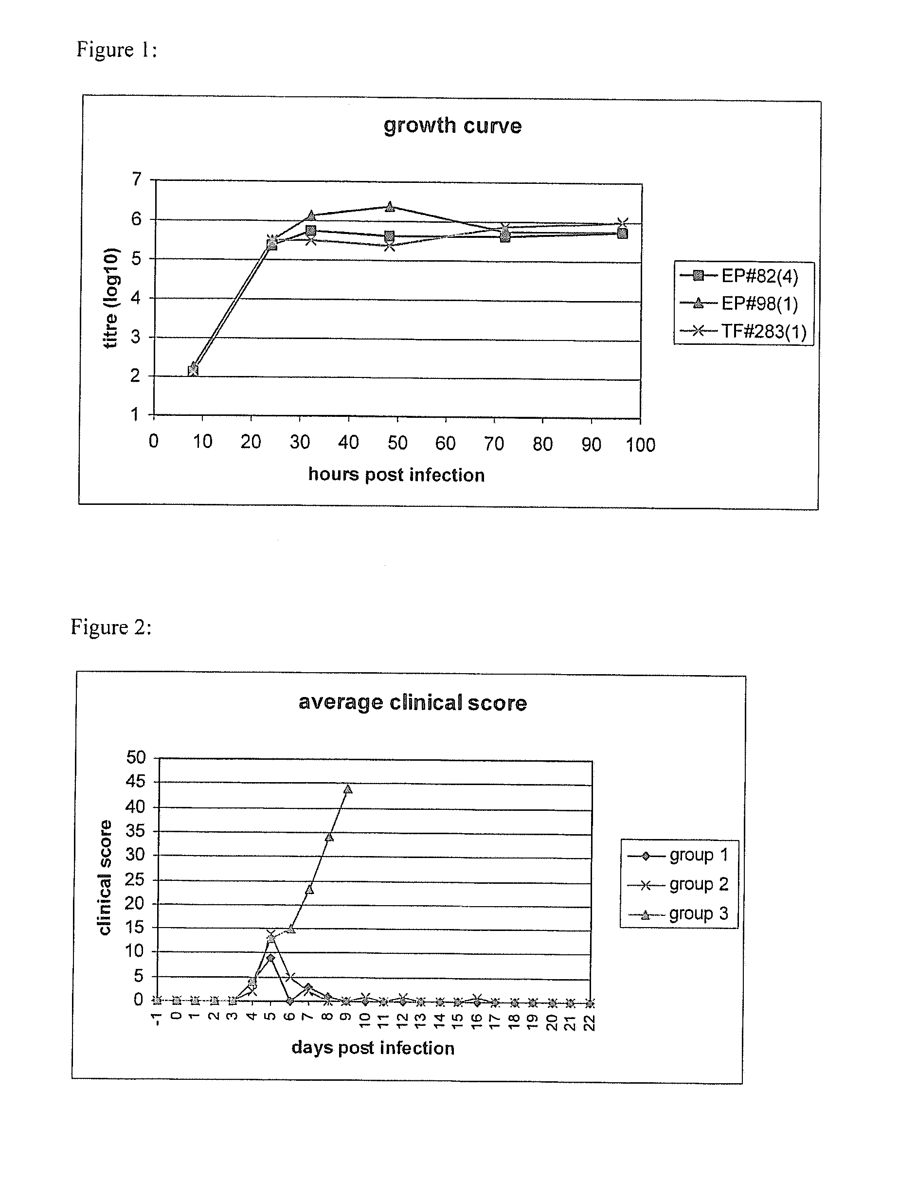 Attenuated pestivirus