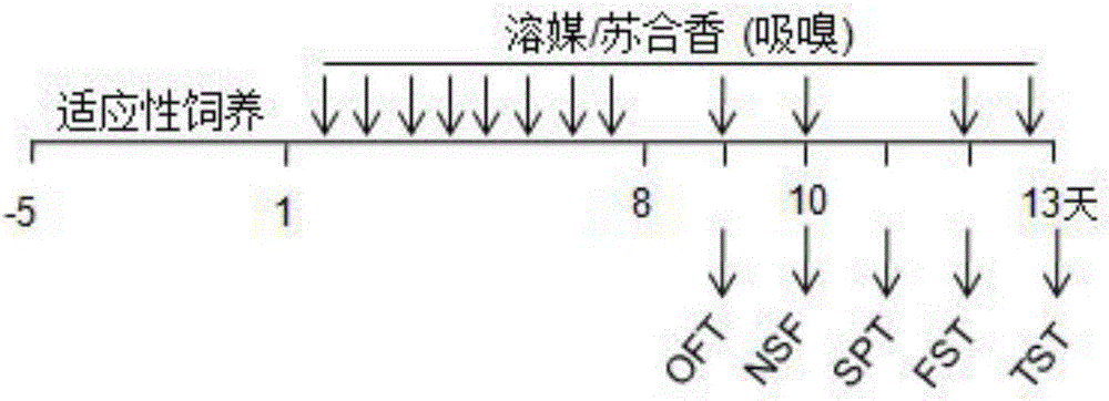 Application of styrax in preparation of anti-depression and anti-anxiety products