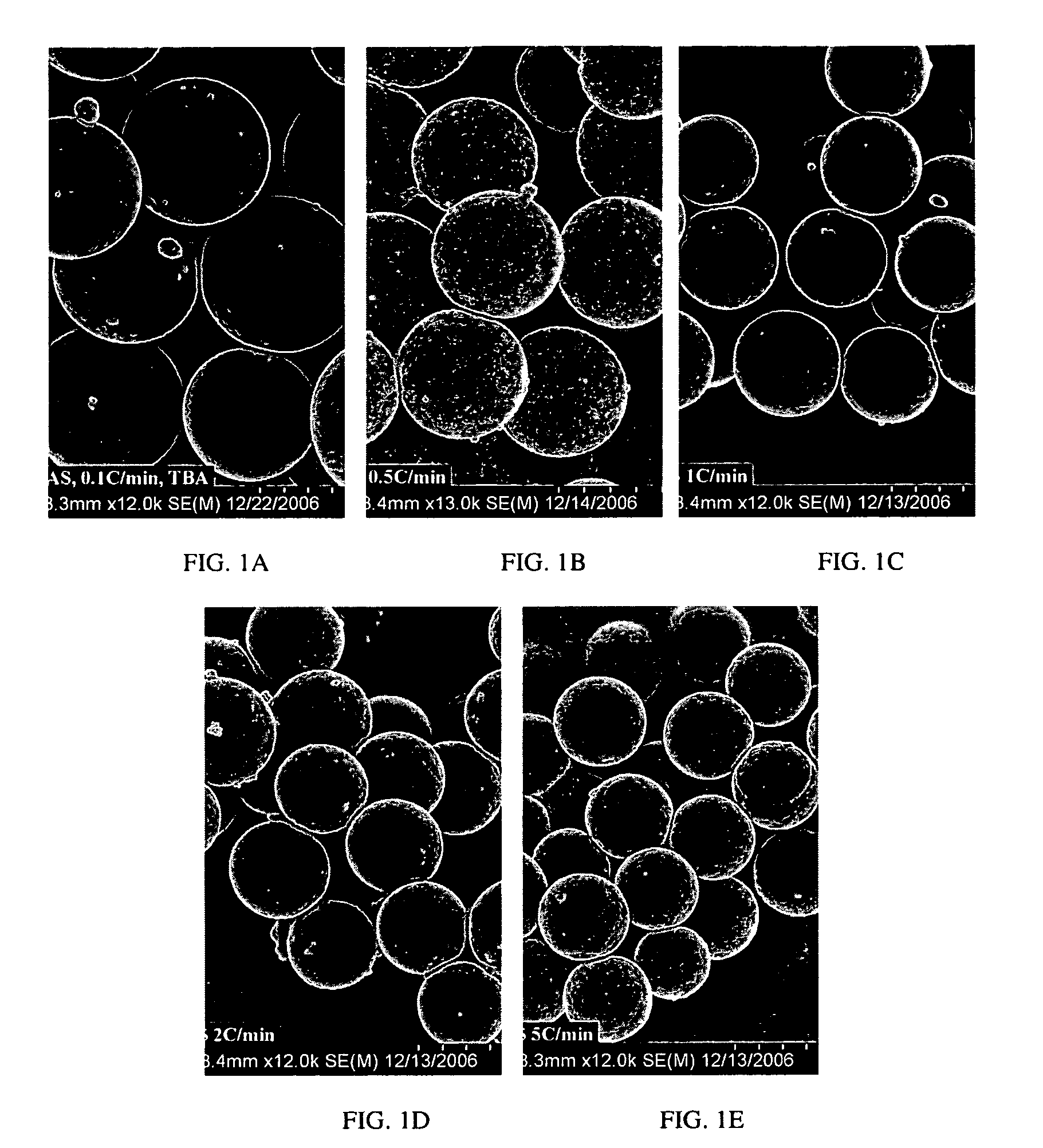 Nucleic acid microparticles for pulmonary delivery