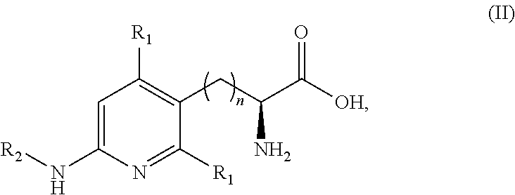 Peptide and peptidomimetic inhibitors