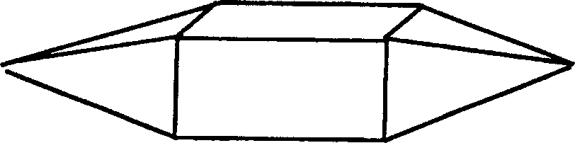 A light scattering detector and capillary tube electrophoresis device for the detector