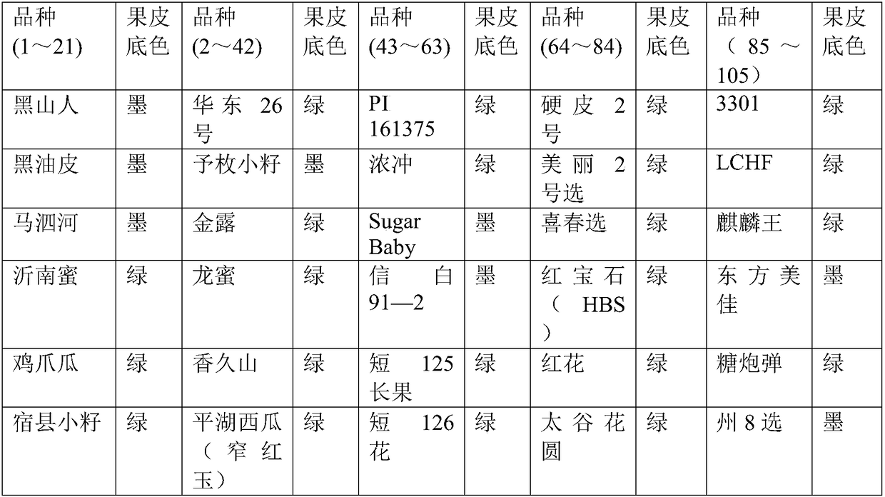 CAPS molecular marker for identifying background color of watermelon peel and application thereof