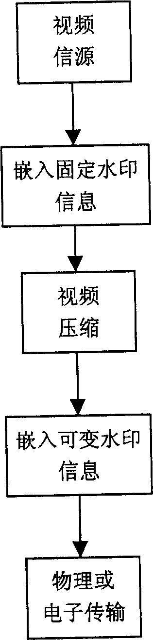 Video frequency data copying control system and method