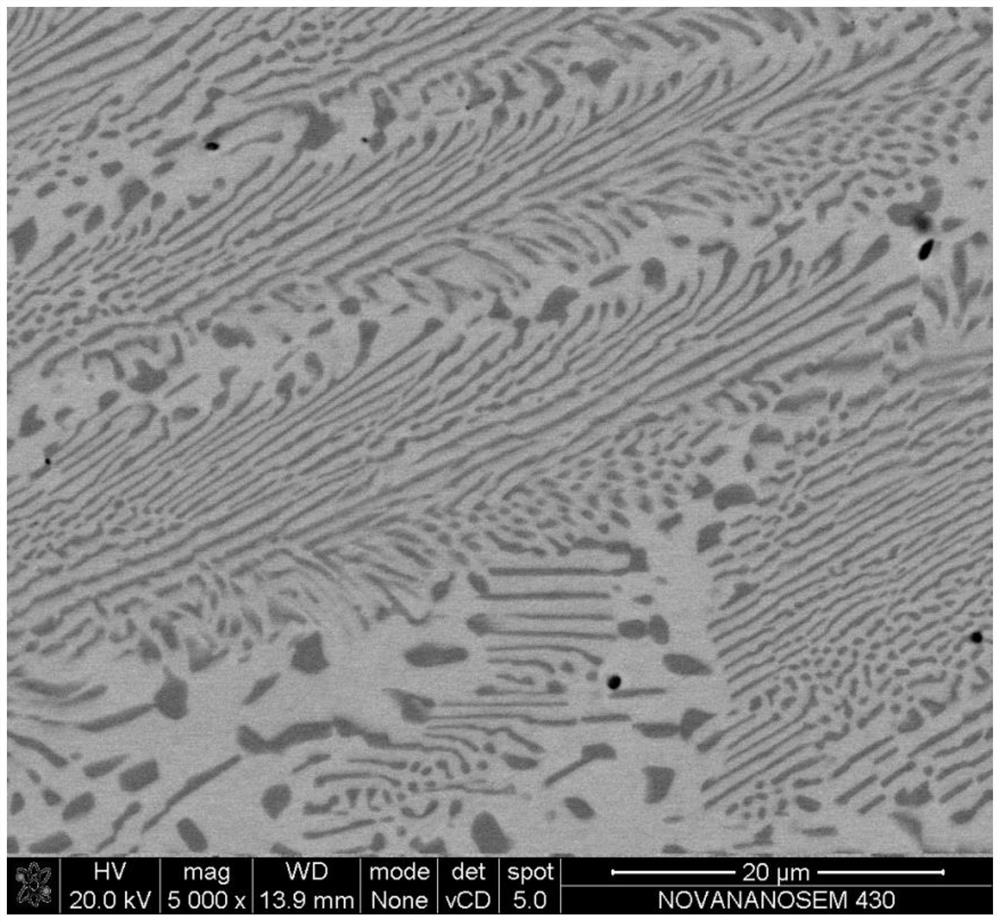 A ferromagnetic shape memory alloy with nanoeutectic layer structure