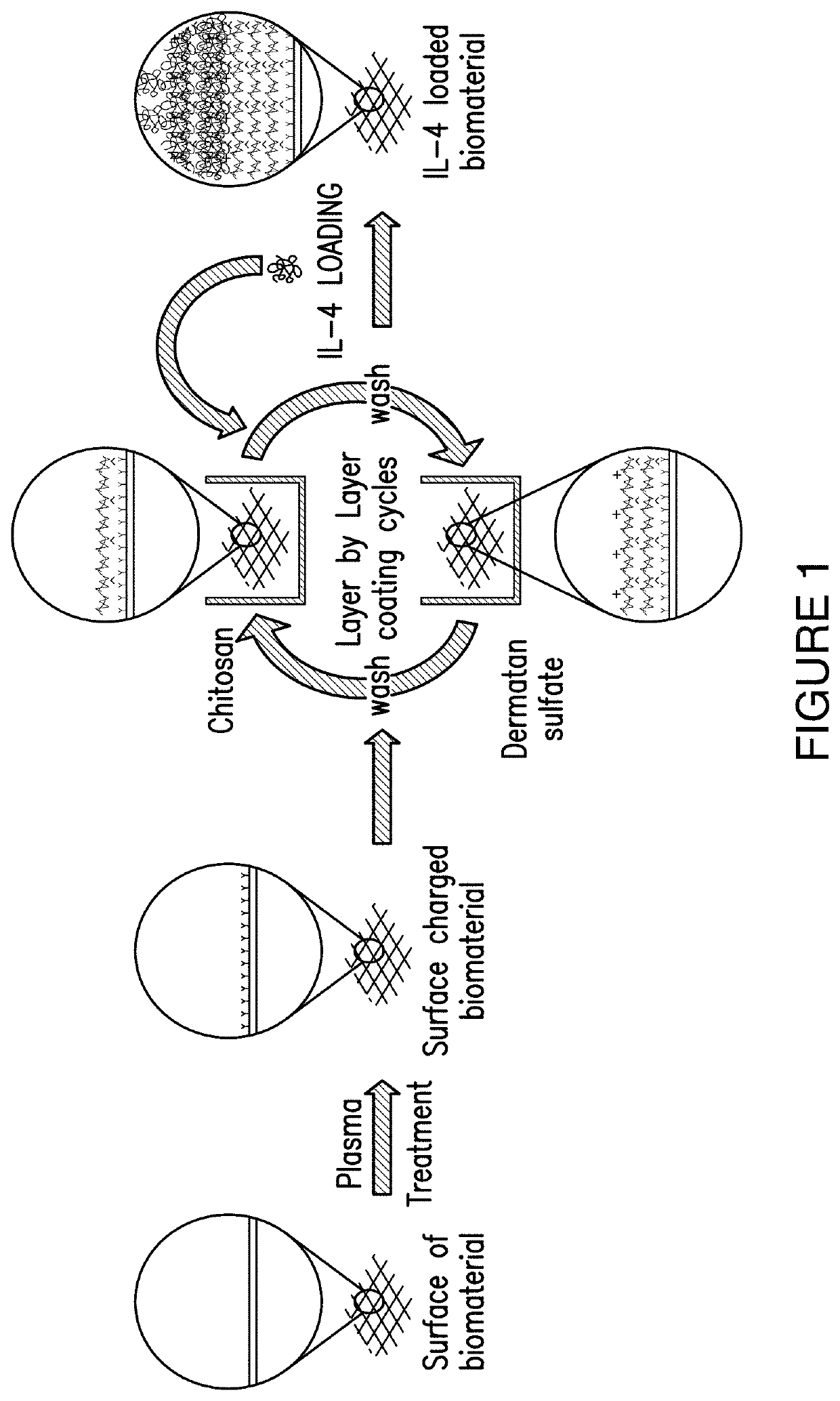 Multilayer drug delivery coating for contact lens