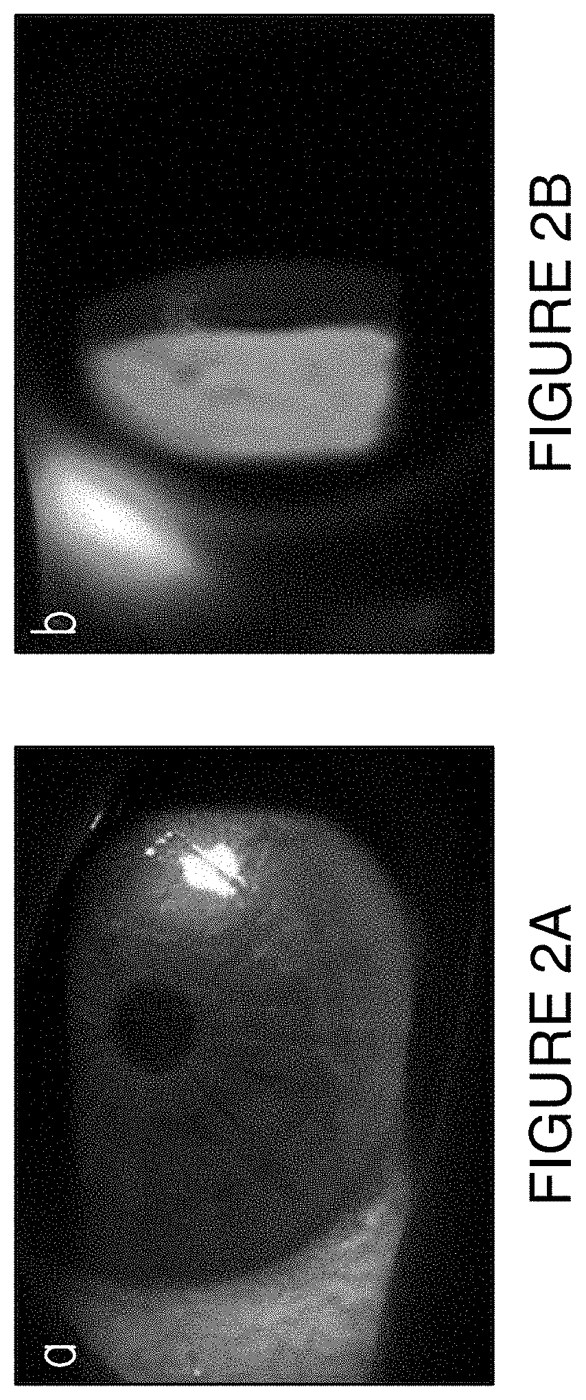 Multilayer drug delivery coating for contact lens