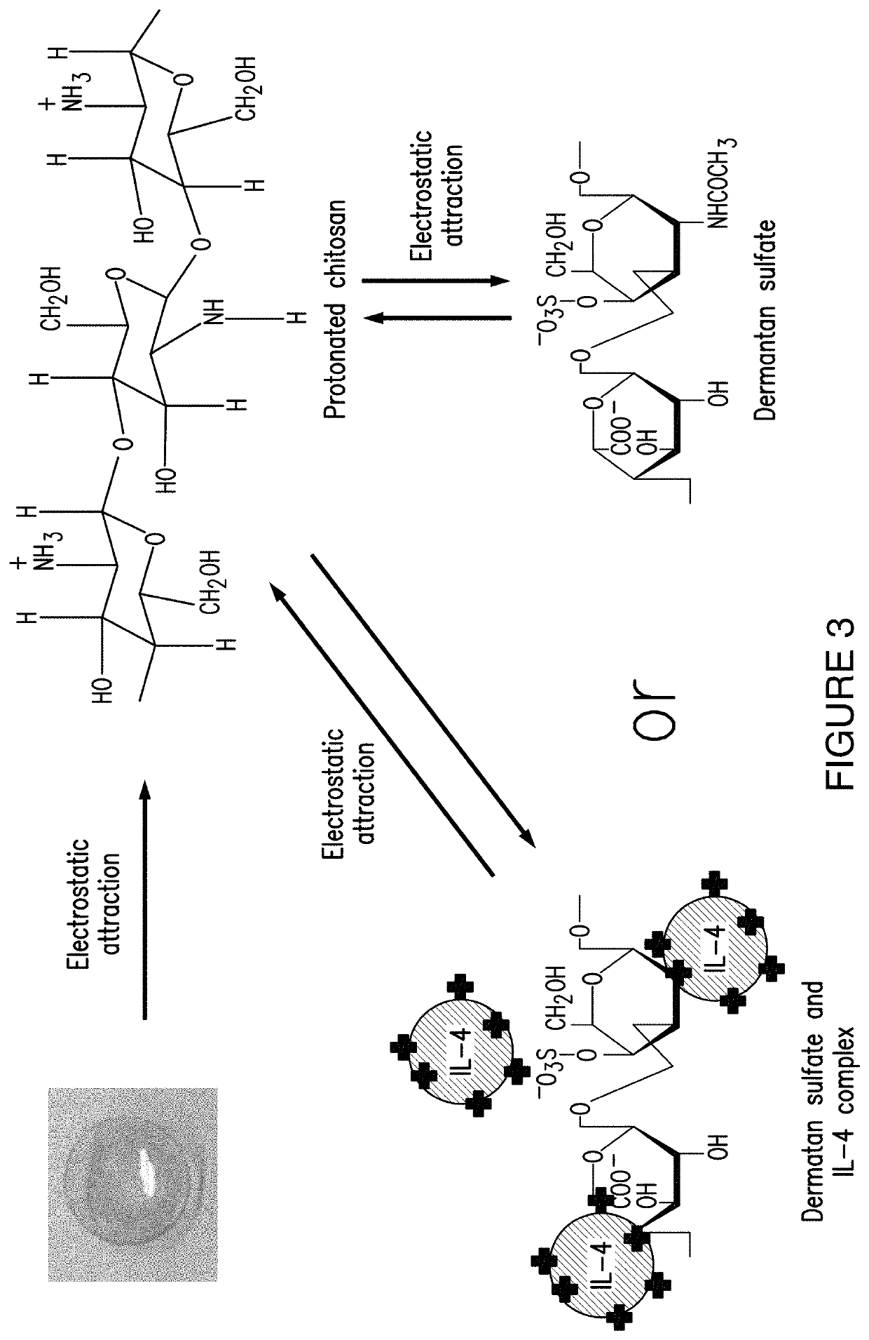 Multilayer drug delivery coating for contact lens