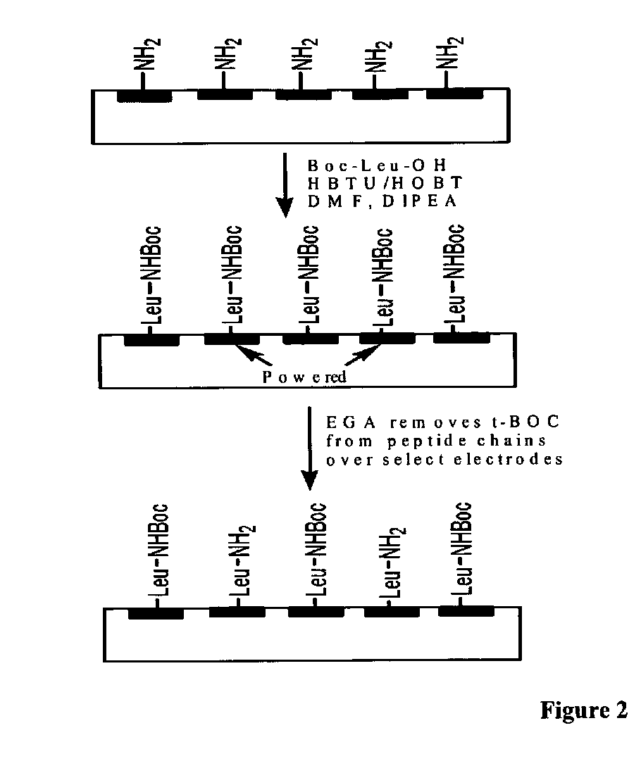 Neutralization and containment of redox species produced by circumferential electrodes