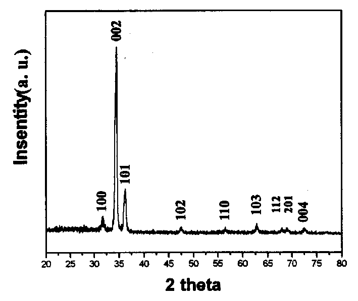 Methof for preparing 3-D orientation zinc oxide film