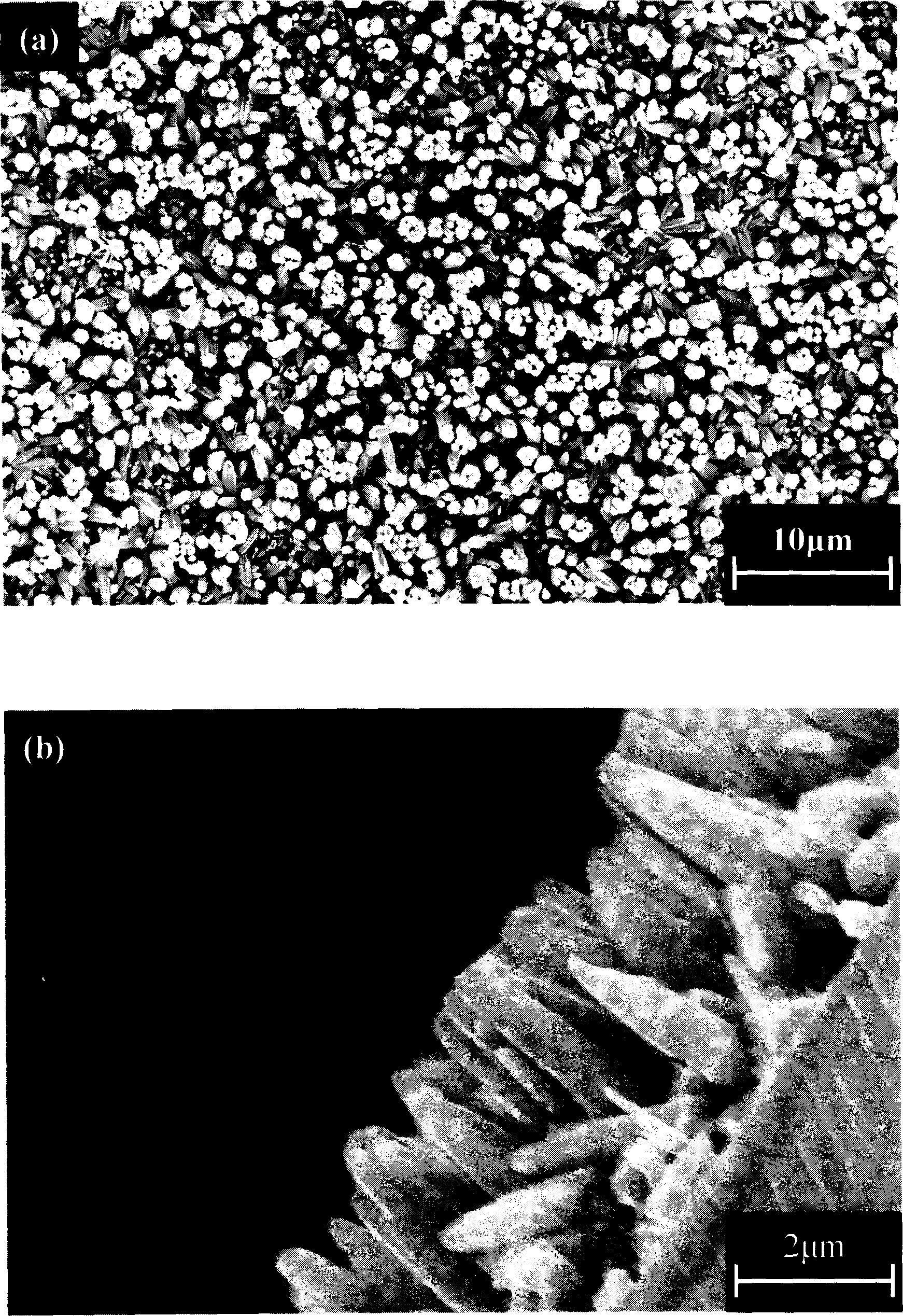 Methof for preparing 3-D orientation zinc oxide film