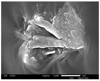 Preparation method of hydrothermal carbon modified asphalt