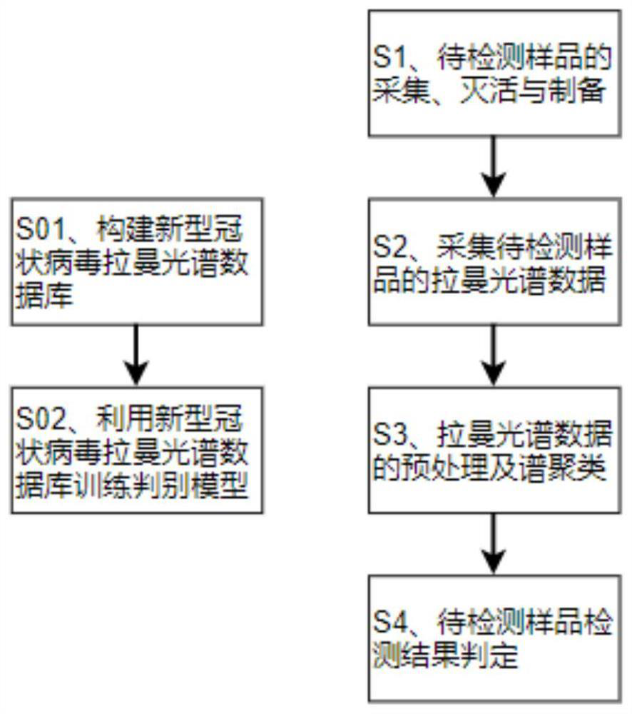 A novel coronavirus detection method and system based on enhanced Raman spectroscopy and neural network