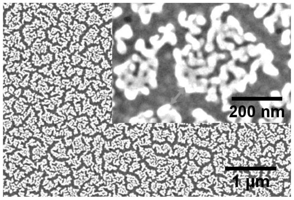 A novel coronavirus detection method and system based on enhanced Raman spectroscopy and neural network