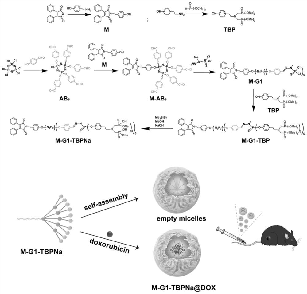 Amphiphilic phosphorus-containing crown macromolecular material as well as preparation and application thereof