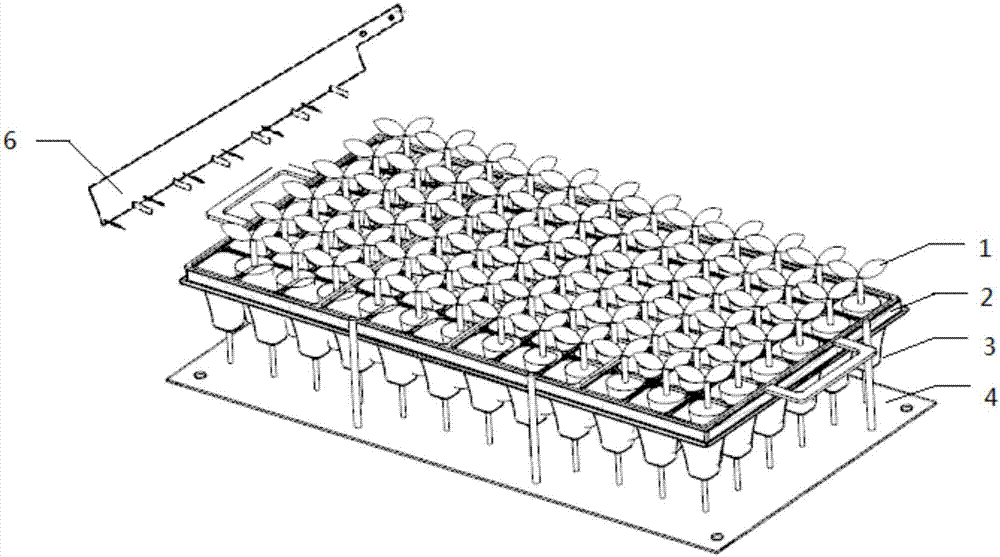 Plug seedling ejecting and picking apparatus capable of protecting pot bodies