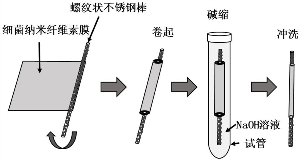 Bacterial nanocellulose base tube with inner surface texture modification and preparation method and application thereof