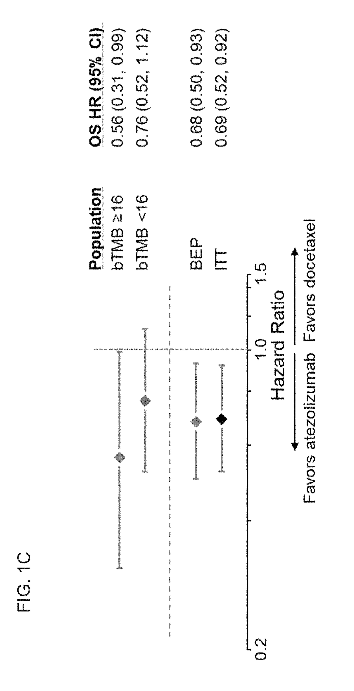 Therapeutic and diagnostic methods for cancer