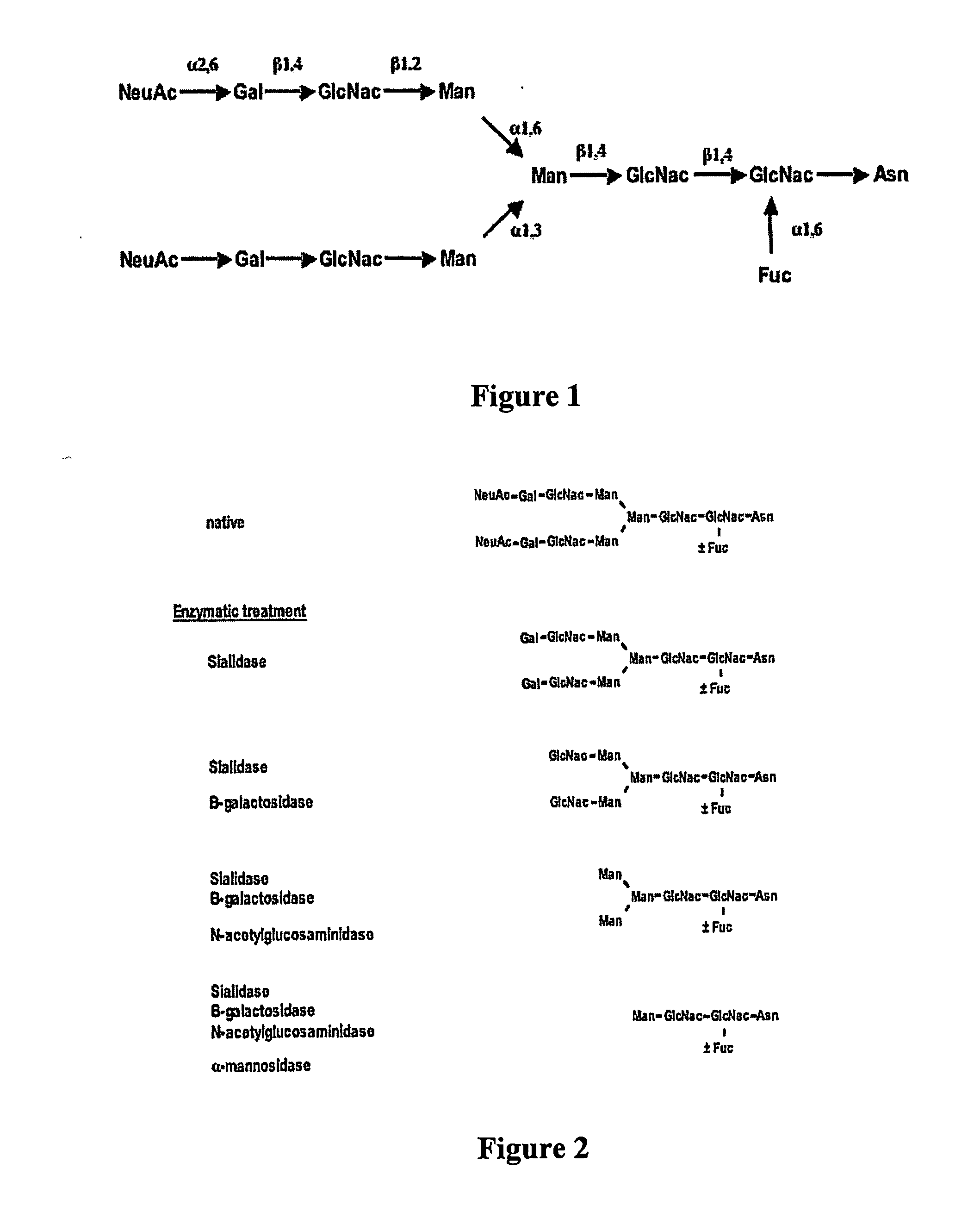 Variable antibodies