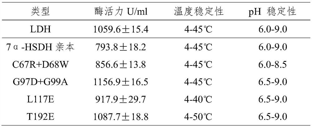 A kind of preparation method of 3α-hydroxyl-7 oxo-5β-cholanic acid and its preparation enzyme 1