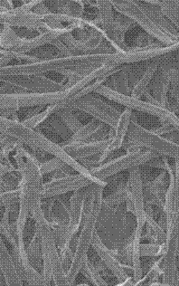 Method for utilizing straw and waste paper pulp to prepare high strength corrugated base paper