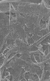 Method for utilizing straw and waste paper pulp to prepare high strength corrugated base paper