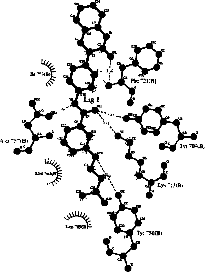 Application of cumarins compound in preparing medicine for inhibiting tumor growth