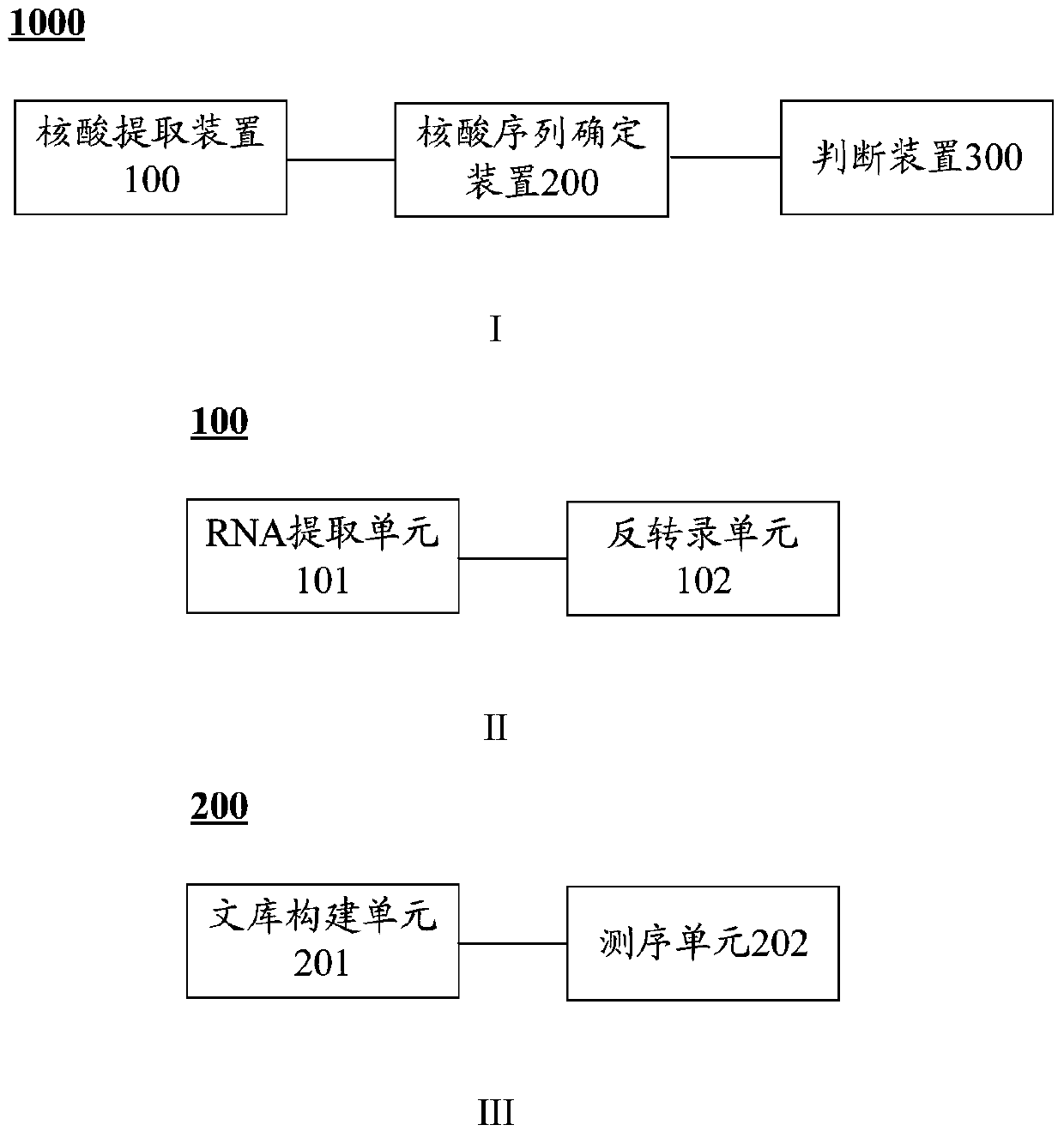 bcs1l gene mutant and its application