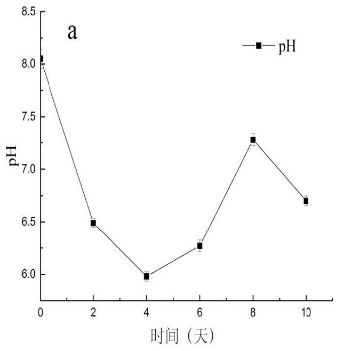 A method of changing coal permeability by using hydrogen-producing acetogenic bacteria