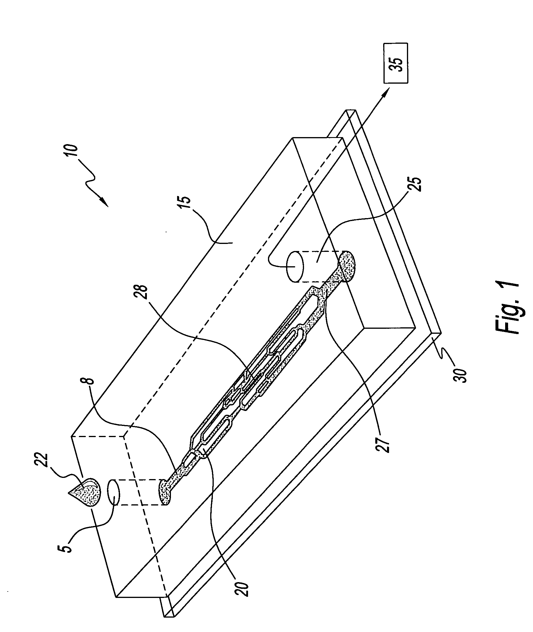 System for assessing the efficacy of stored red blood cells using microvascular networks