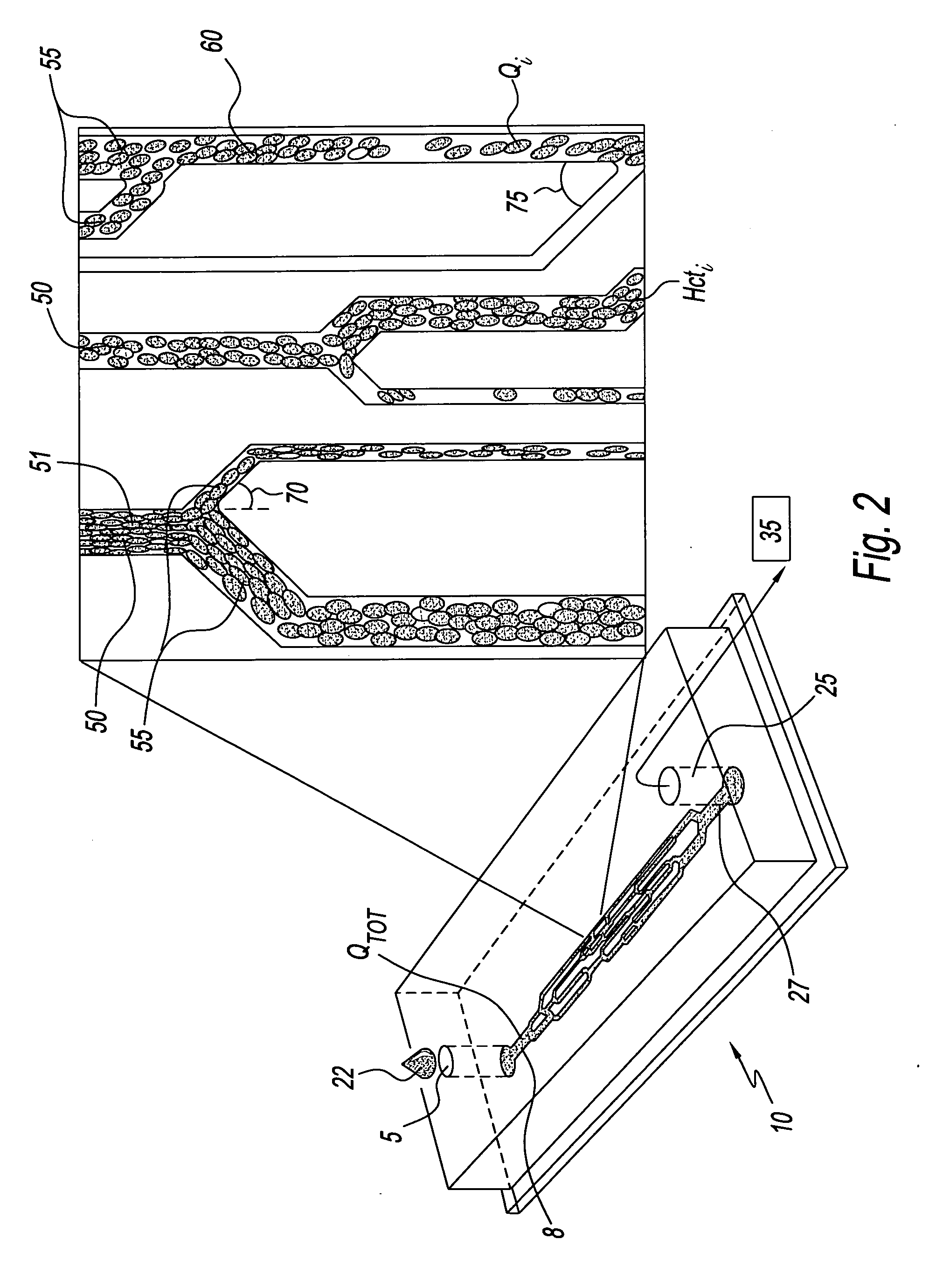 System for assessing the efficacy of stored red blood cells using microvascular networks