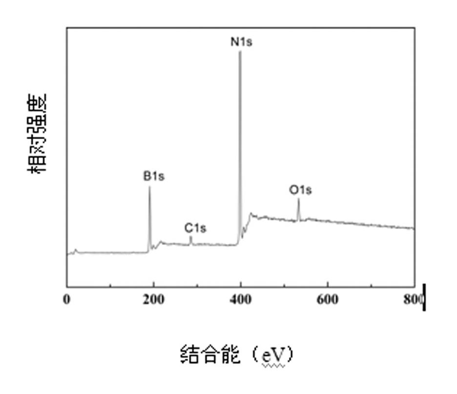 Method for preparing boron nitride nanorod by using precursor conversion method