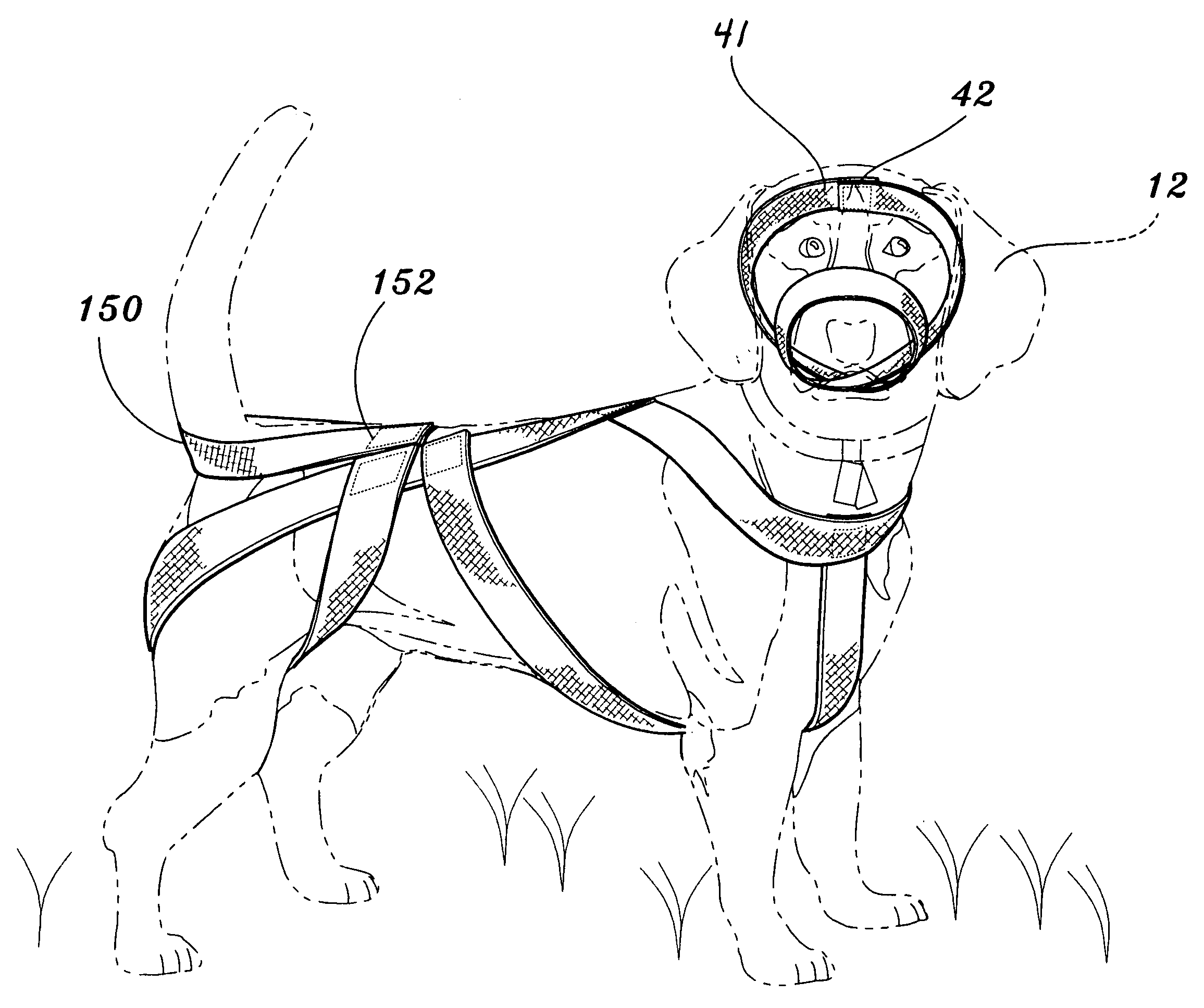 Animal wrap for touch training