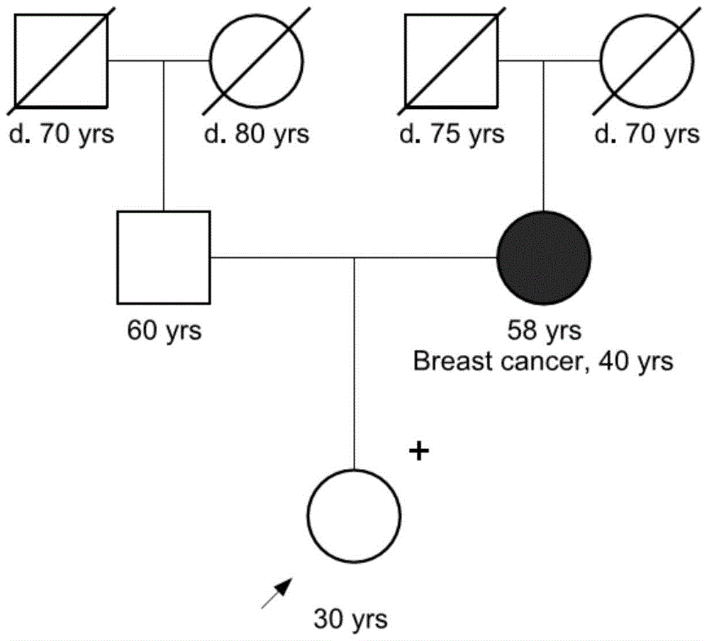 Tumor susceptibility 62 genes and application thereof