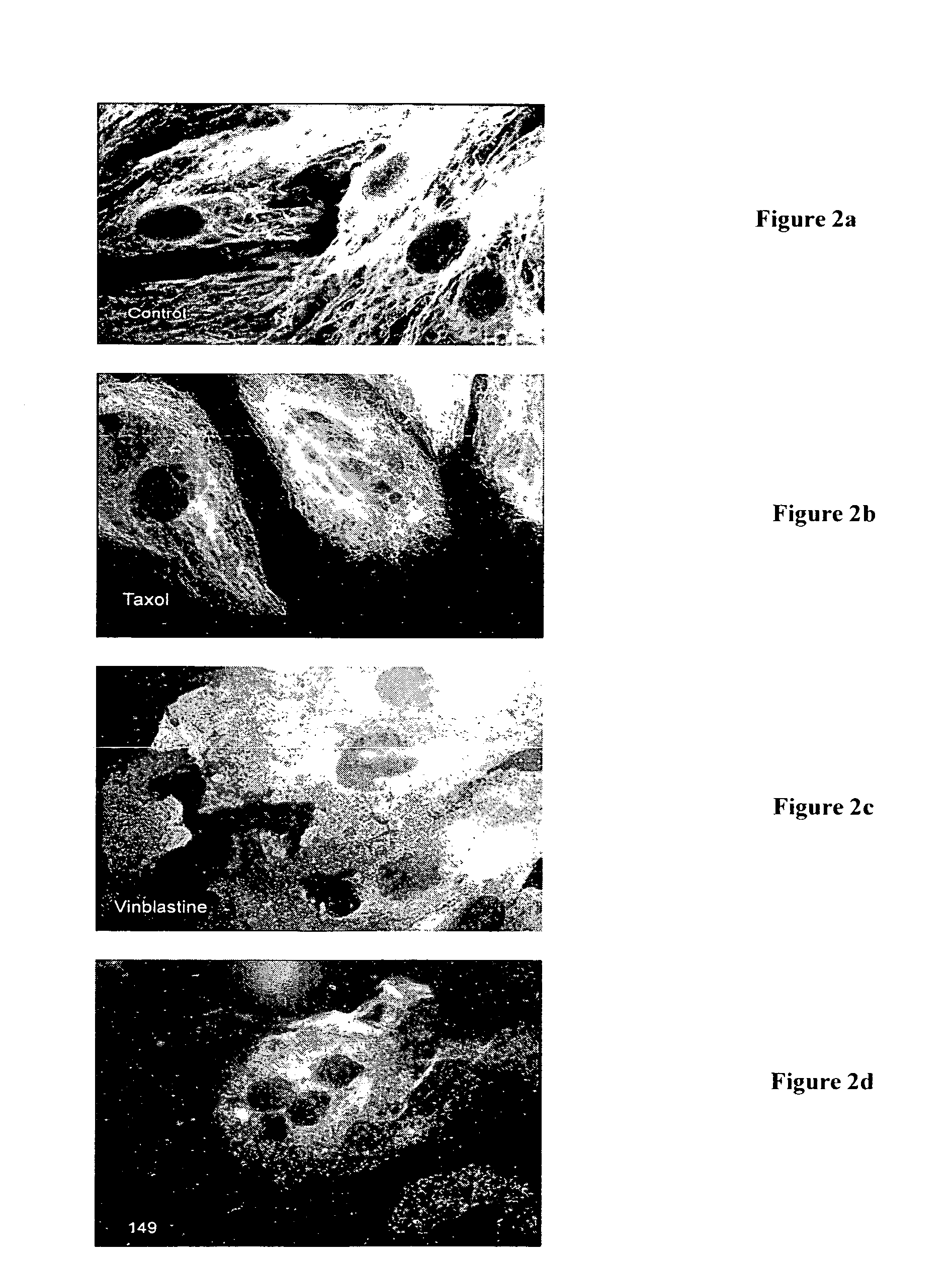 Methods for treating cancer and other pathological proliferating disorders by inhibiting mitosis using pyrrolo[2 3-<i>d</i>]pyrimidines