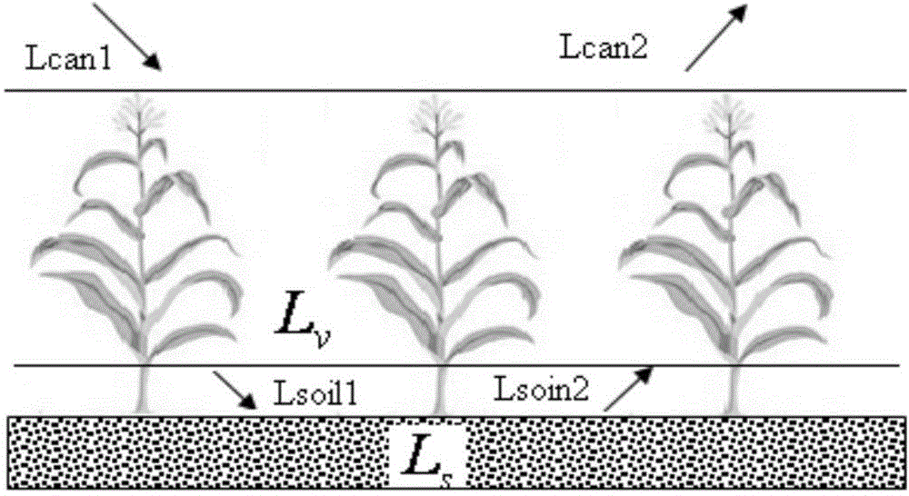 System and method for observing plant canopy photosynthetically active radiation absorptivity