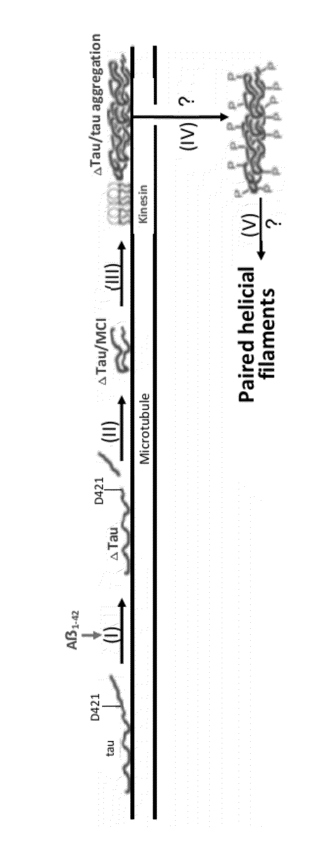 Treatment of tauopathies