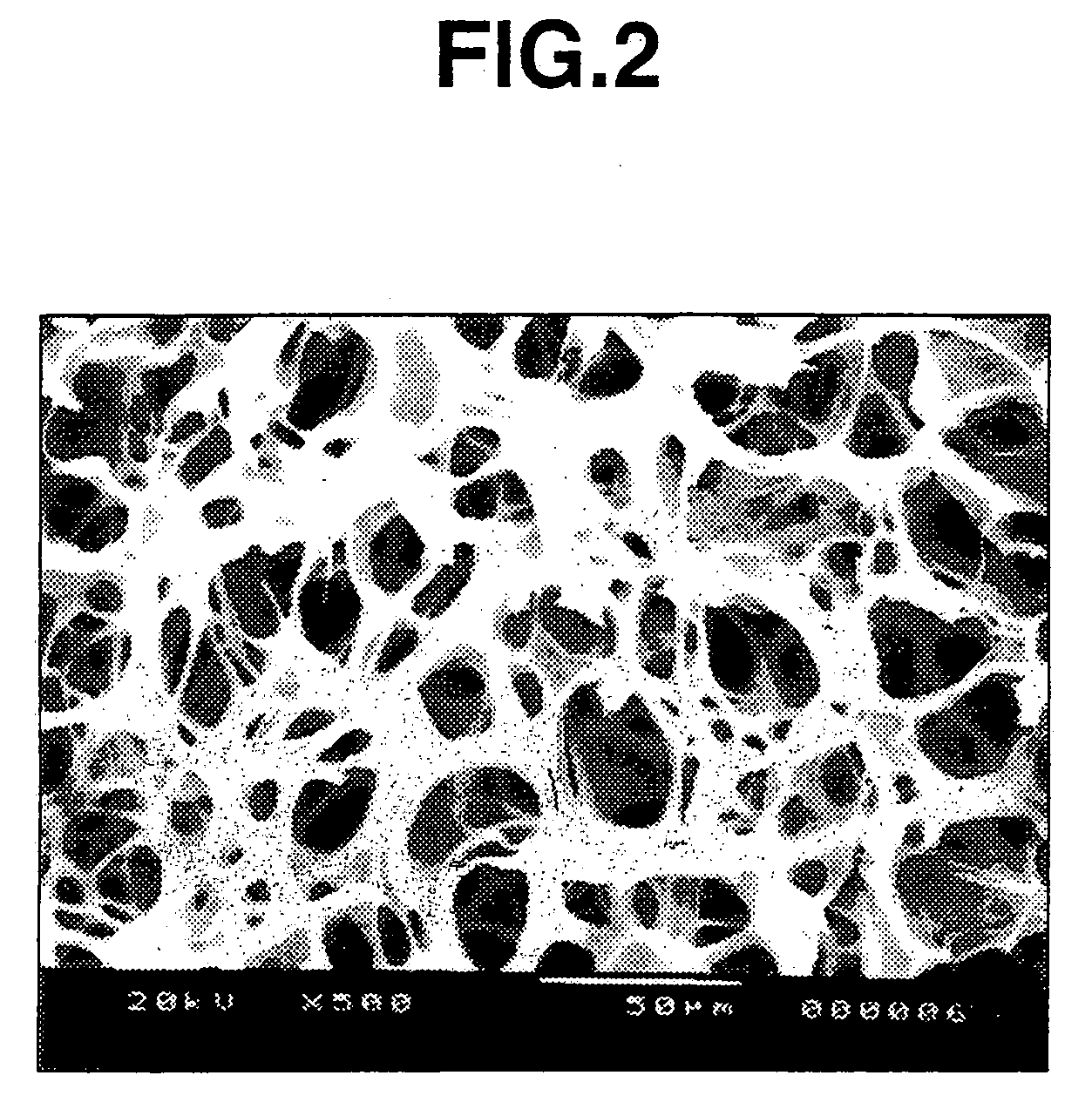 Crosslinked polysaccharide sponge