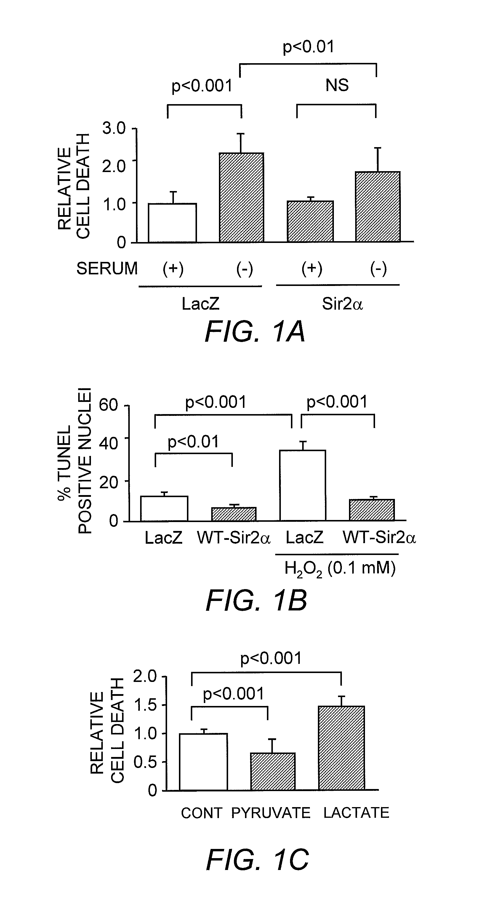 Transgenic animal and methods for decreasing cardiac cell death via cardiac-specific SIR2alpha overexpression