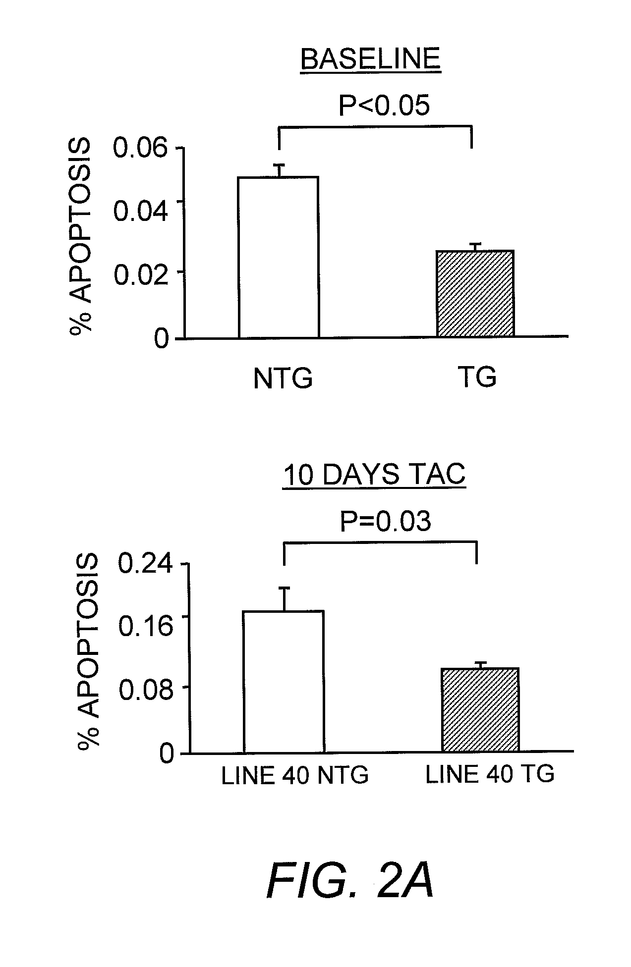 Transgenic animal and methods for decreasing cardiac cell death via cardiac-specific SIR2alpha overexpression