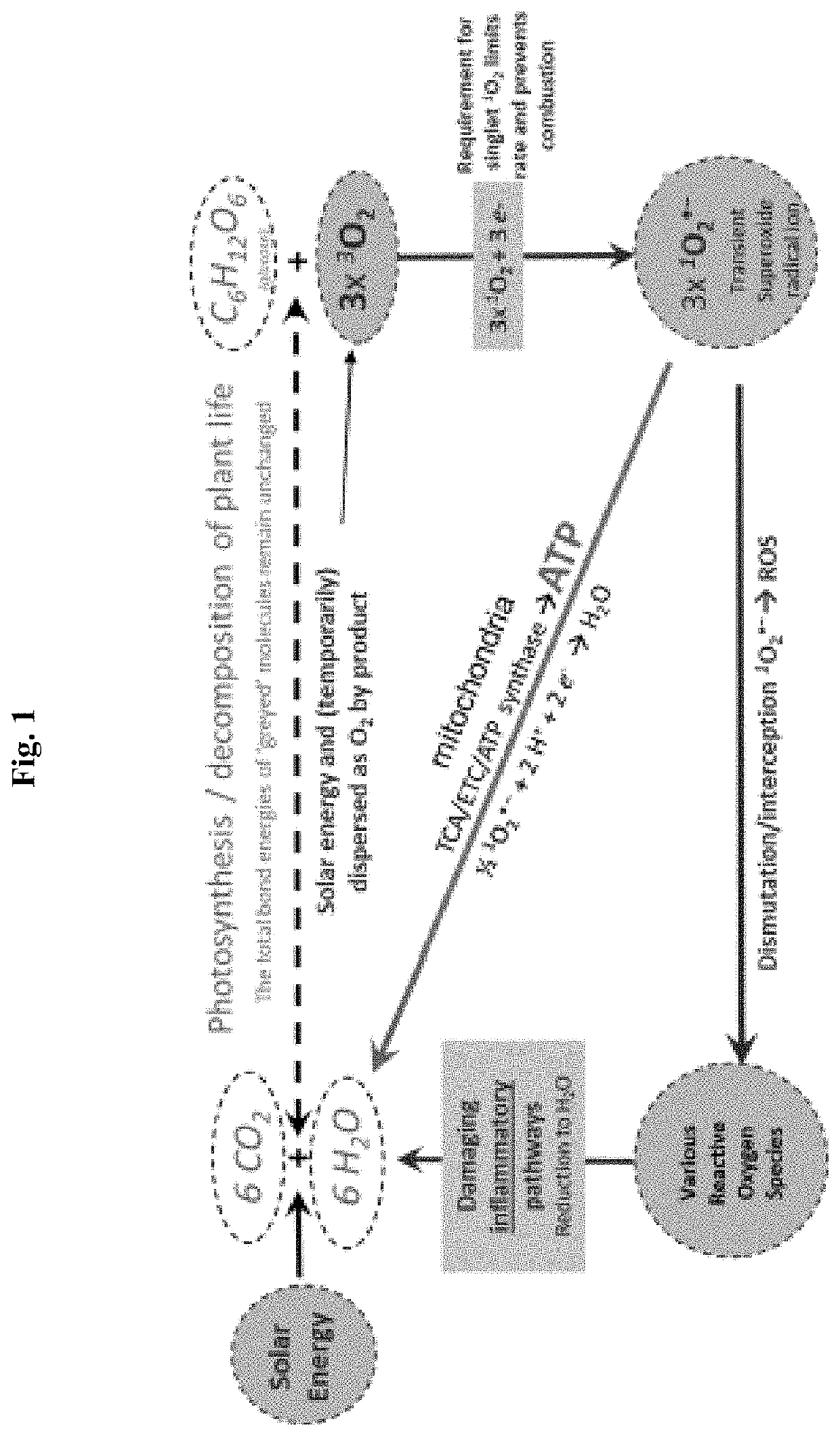 Compositions for treating acne and dermatological conditions