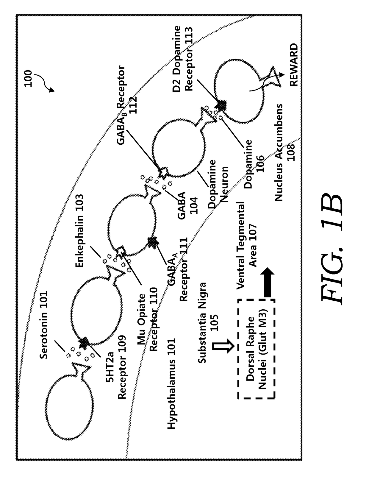 Anti-rds compounds and method of manufacture and administration thereof to induce dopamine homeostatis