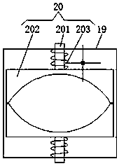 Hawthorn kernel removing device